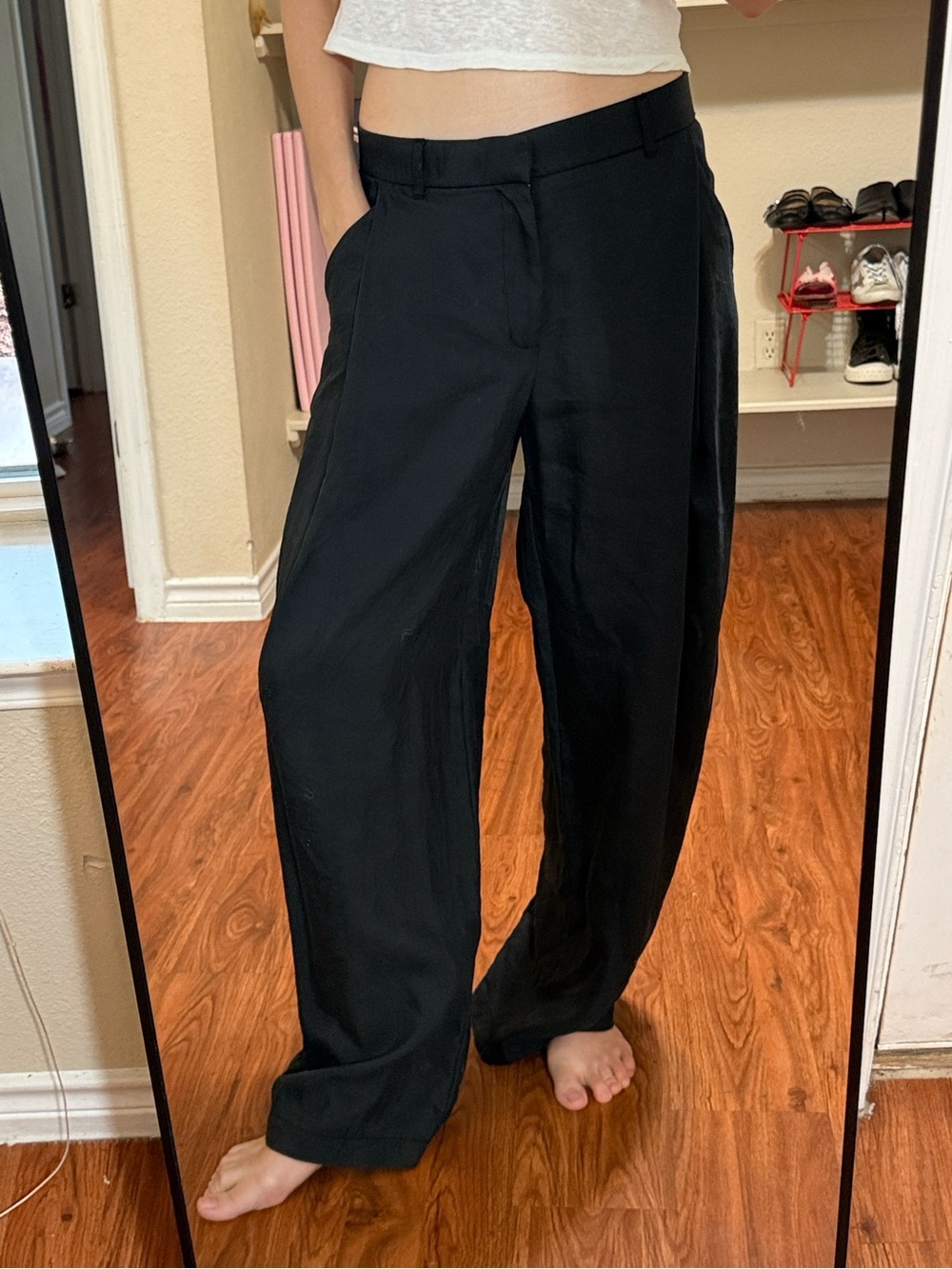 Zara Flowy Pleated Pants